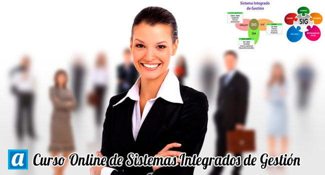 curso online de sistemas integrados de gestión