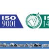 Curso Online Sistemas de Gestión (ISO 9001 + ISO 14001)