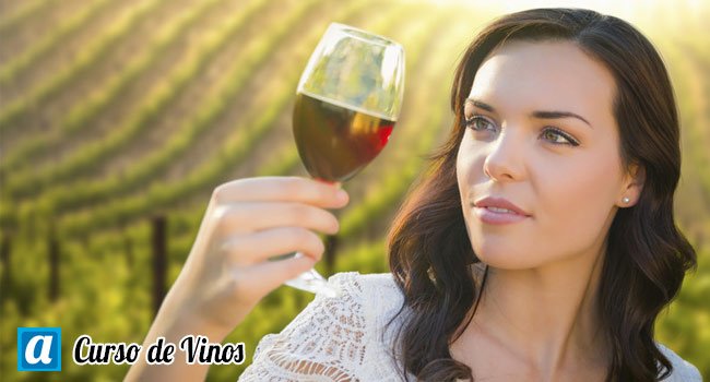 curso de vinos Online