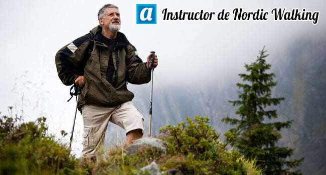 curso instructor nordic walking online
