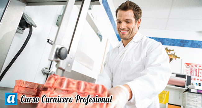 Curso Carnicero Profesional para el Certificado de Profesionalidad