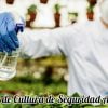 Cultura de la Seguridad alimentaria