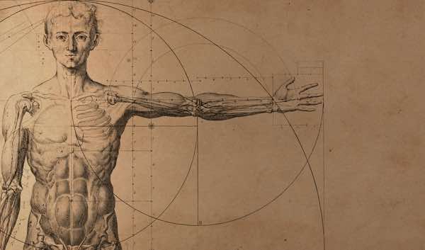 Cómo dibujar el cuerpo humano